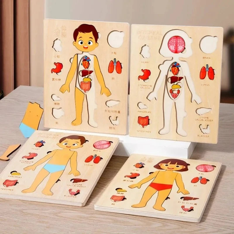 Montessori Puzzles Busy Board Human Body Parts Teaching Learning Educational Anatomy Toy Puzzle for Kids Children Early Learning