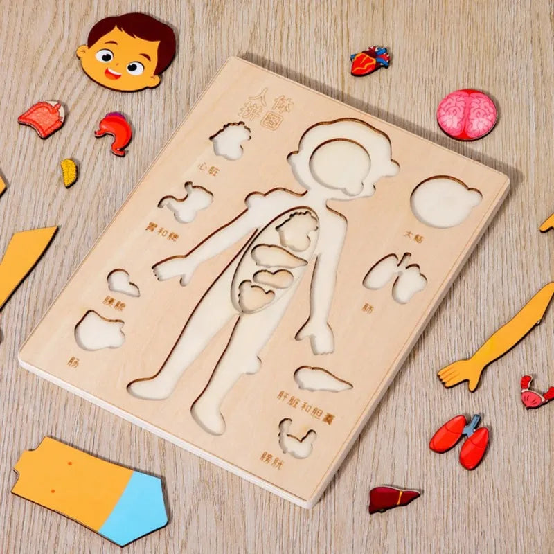 Montessori Puzzles Busy Board Human Body Parts Teaching Learning Educational Anatomy Toy Puzzle for Kids Children Early Learning