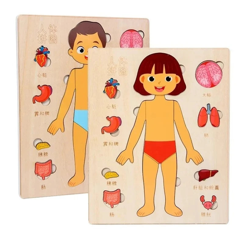Montessori Puzzles Busy Board Human Body Parts Teaching Learning Educational Anatomy Toy Puzzle for Kids Children Early Learning